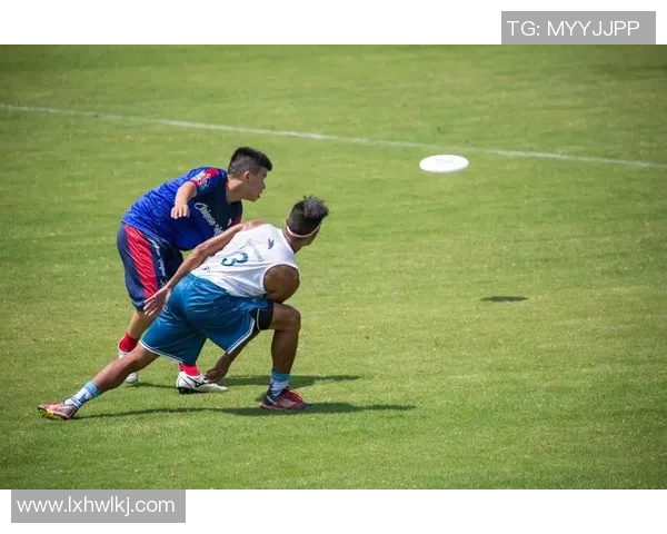 飞盘竞技新视角：深入分析北京飞盘队的战术灵活性与团队协作