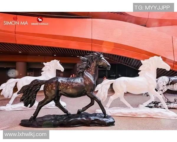 飞盘飞扬：杨娜的追梦之旅与深度对话探索